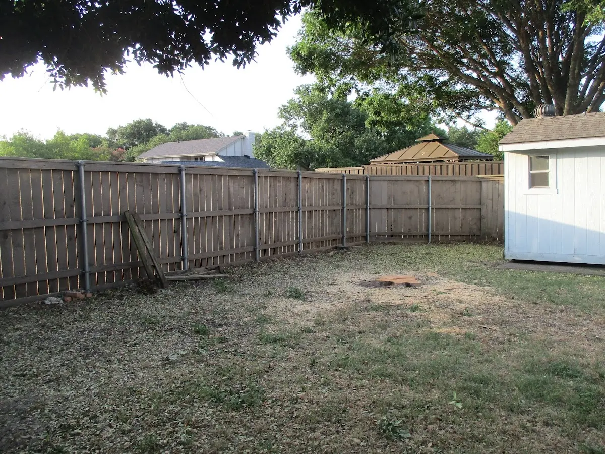 Cleared yard after professional tree removal in Adel
